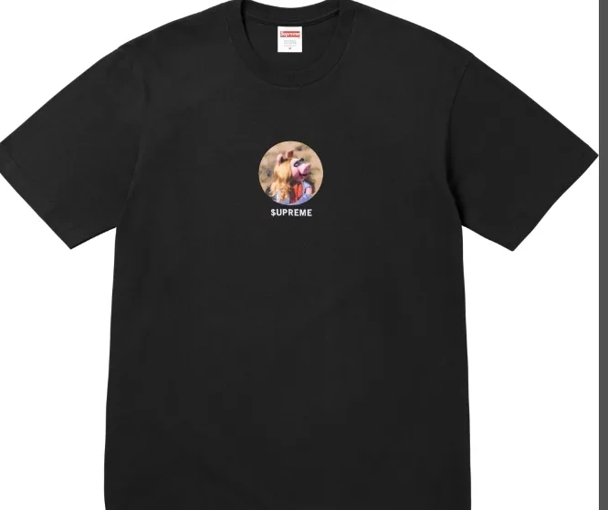 TEE ￥119 PIGGY 24SS MISS 1017